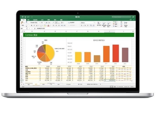 Maison et affaires rapides de Microsoft Office 2021 de la livraison pour Mac License Activation Key