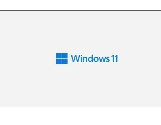 Autocollant de Coa de la clé X.21 de permis de Windows 11 de PC pro avec la clé de produit de la victoire 11 d'hologramme