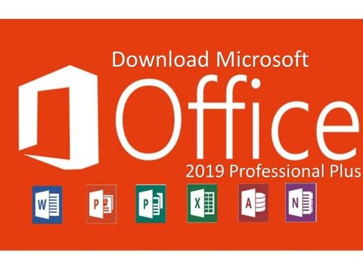 Bureau 2019 contraignant de la clé FPP de produit de PKC Microsoft Office pro plus la clé 2019