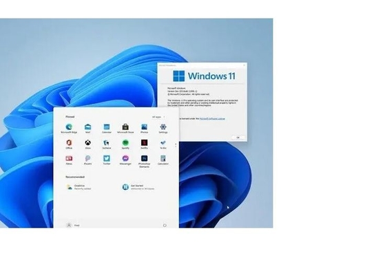 Clé d'activation Microsoft Windows 11 avec hologramme Win 11 Coa Sticker